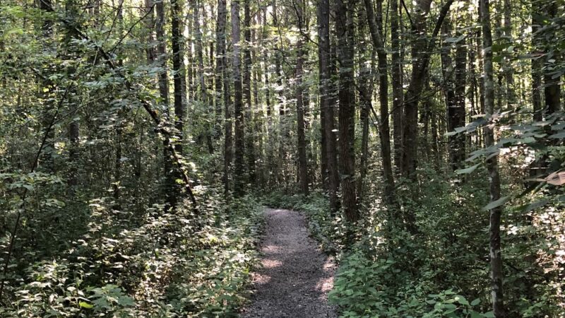 Leone Hall Price Park - Kennesaw, GA