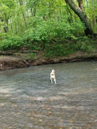 Leone Hall Price Park - Kennesaw, GA