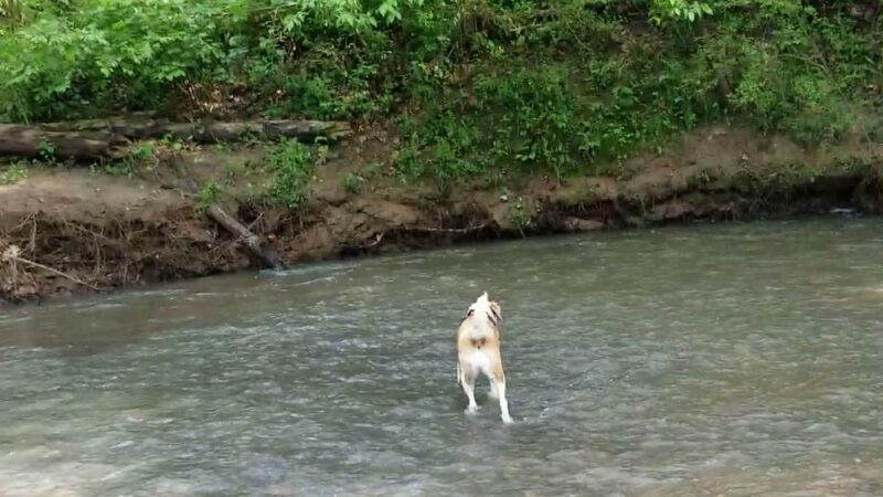 Leone Hall Price Park - Kennesaw, GA