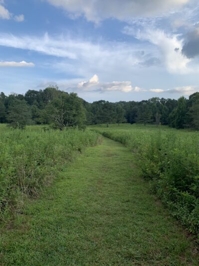 Leone Hall Price Park - Kennesaw, GA