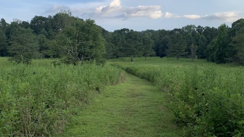 Leone Hall Price Park - Kennesaw, GA