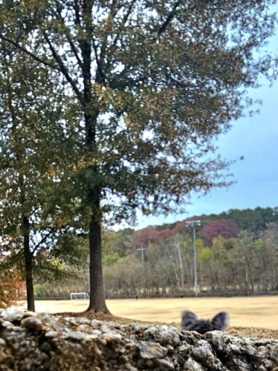 Noonday Park Entry - Kennesaw, GA