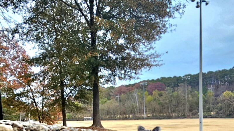 Noonday Park Entry - Kennesaw, GA