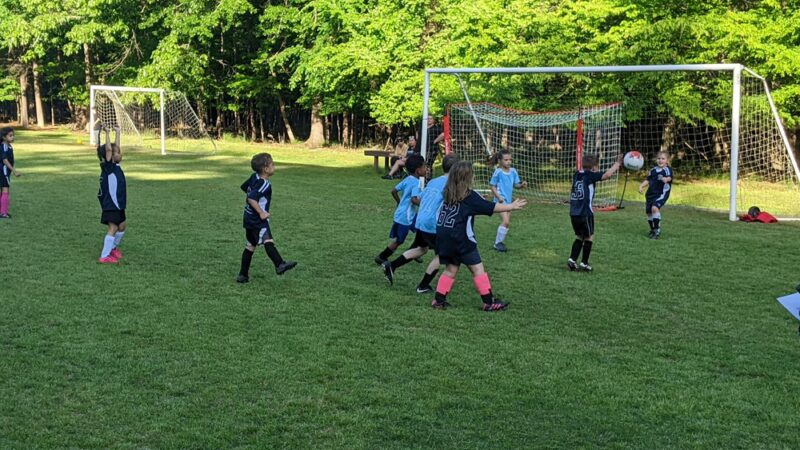 Towne Green - Kennesaw, GA