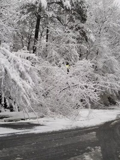 Towne Green - Kennesaw, GA