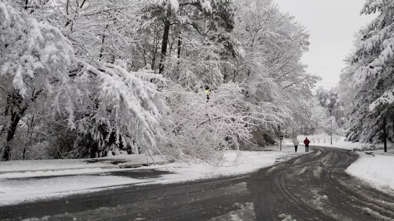 Towne Green - Kennesaw, GA