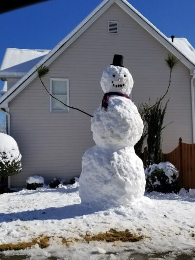 Towne Green - Kennesaw, GA