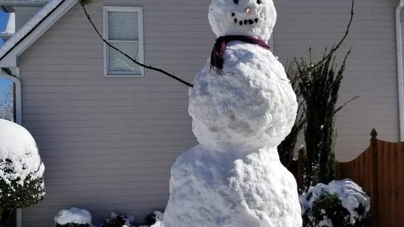 Towne Green - Kennesaw, GA