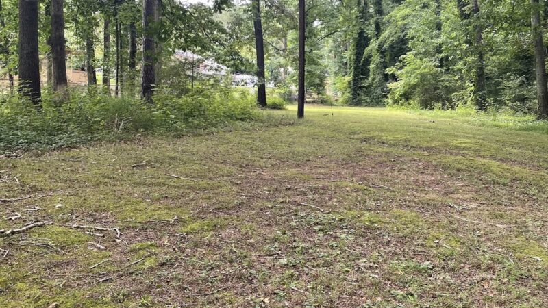 Woodland park - Kennesaw, GA