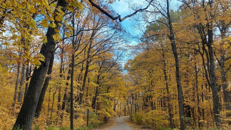 Petrifying Springs Park - Kenosha, WI
