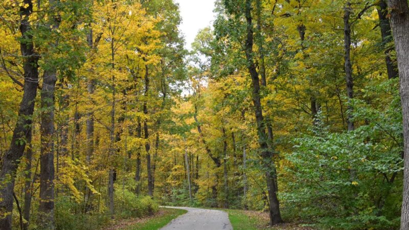 Petrifying Springs Park - Kenosha, WI