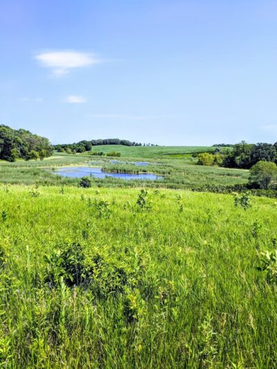 Kensington Rune Stone Park - Kensington, MN