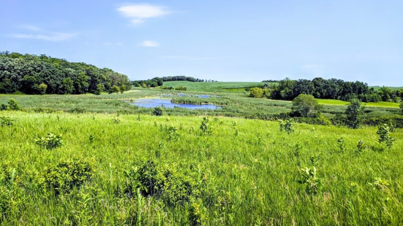 Kensington Rune Stone Park - Kensington, MN