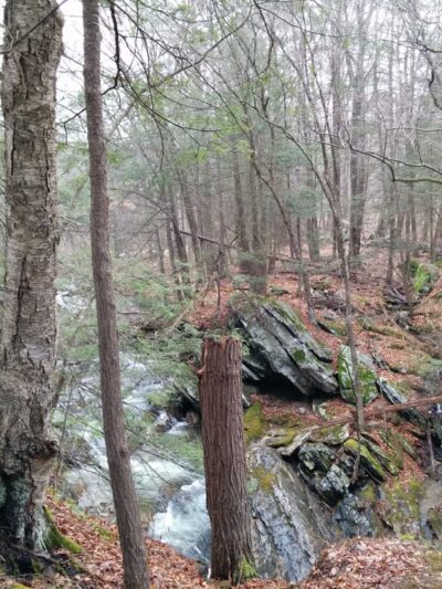 Pond Mountain Natural Area - Kent, CT