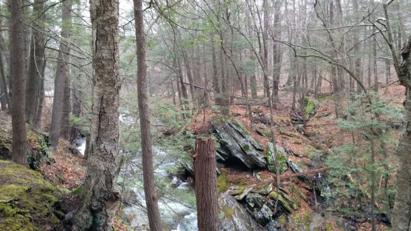 Pond Mountain Natural Area - Kent, CT