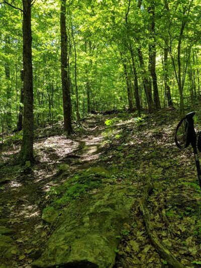 Pond Mountain Natural Area - Kent, CT