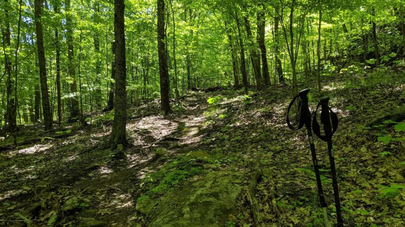 Pond Mountain Natural Area - Kent, CT