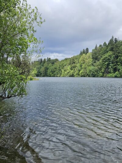 Fenwick park short loop - Kent, WA