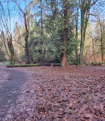 Fenwick park short loop - Kent, WA