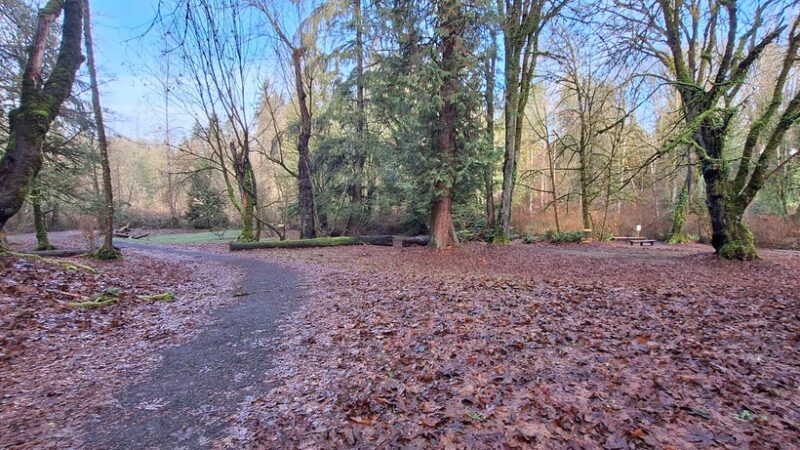 Fenwick park short loop - Kent, WA