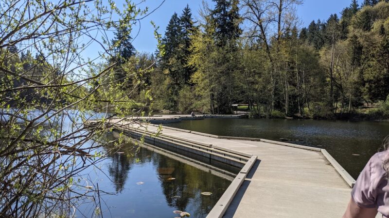 Lake Fenwick Park - Kent, WA