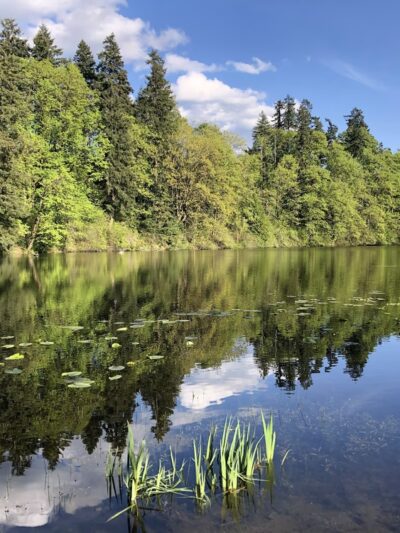 Lake Fenwick Park - Kent, WA