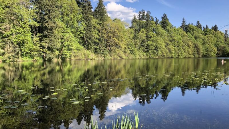 Lake Fenwick Park - Kent, WA