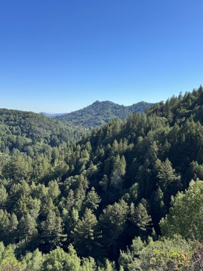 Crown Road Trailhead - Kentfield, CA