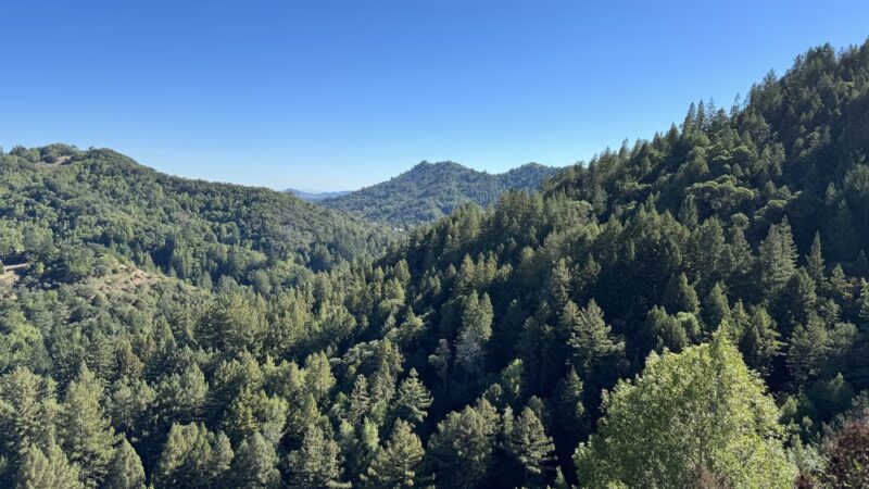 Crown Road Trailhead - Kentfield, CA