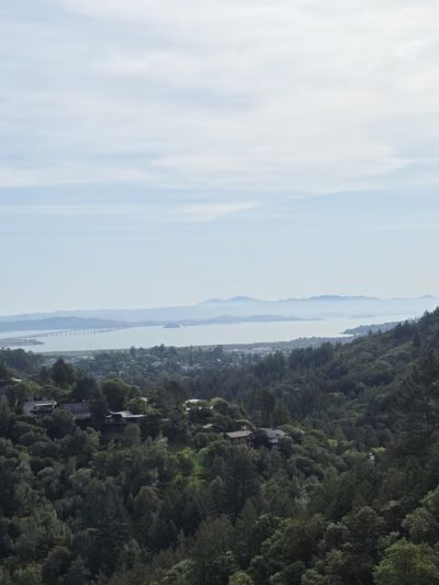 Crown Road Trailhead - Kentfield, CA