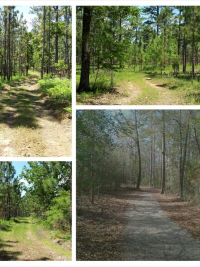 sandy hollow campground - Kentwood, LA