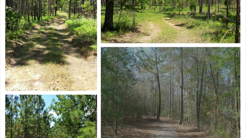 sandy hollow campground - Kentwood, LA