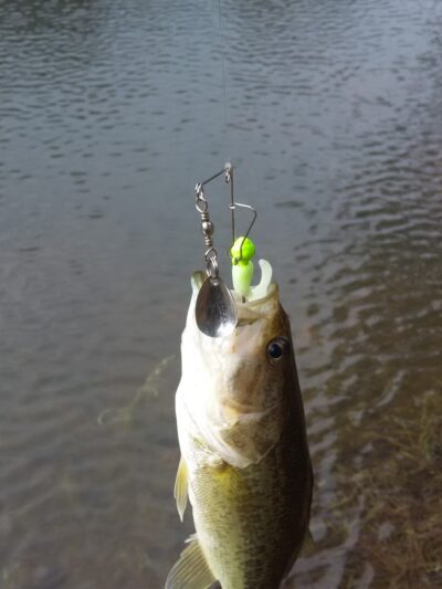 sandy hollow campground - Kentwood, LA