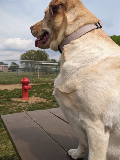 Riverview Park - Keokuk, IA