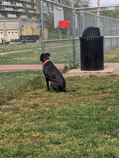 Riverview Park - Keokuk, IA