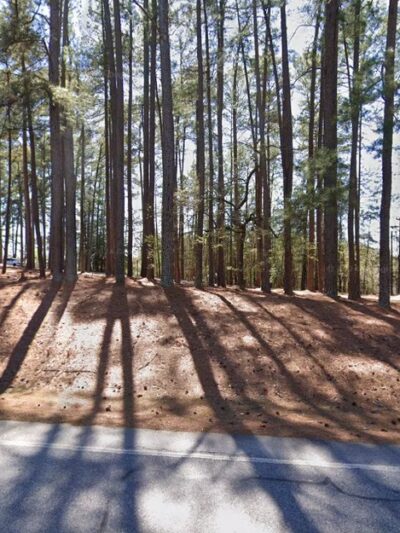 The Dog Park at Keowee Key - Keowee Key, SC