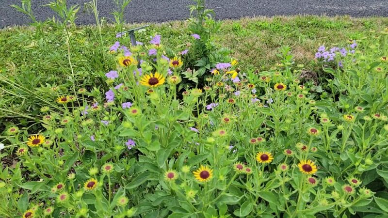 Northeast Park - Kewanee, IL