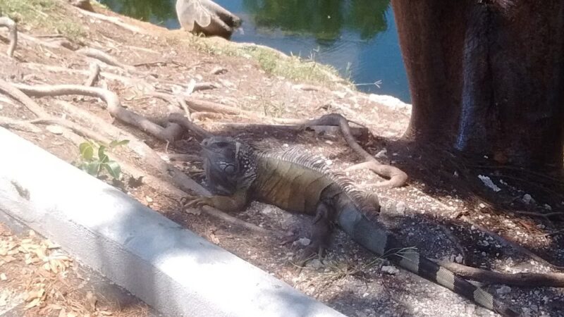 Friendship Park - Key Largo, FL