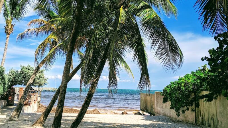 Dog Beach - Key West, FL