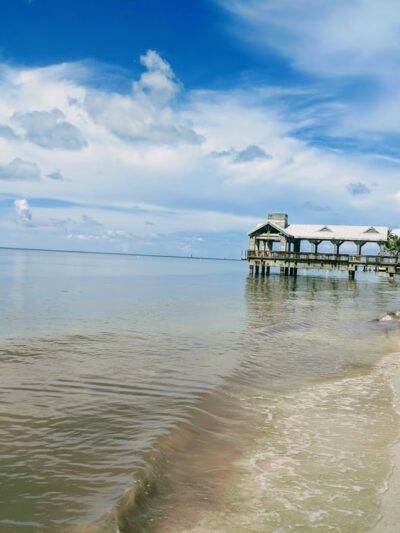 Dog Beach - Key West, FL