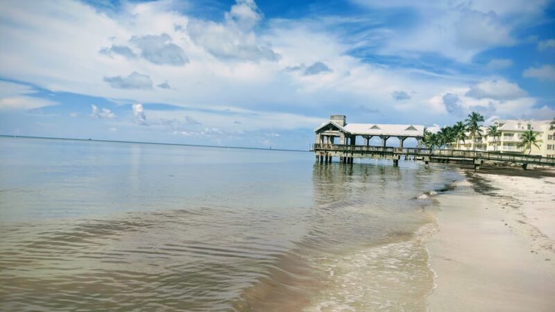 Dog Beach - Key West, FL