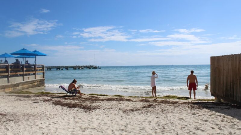 Dog Beach - Key West, FL