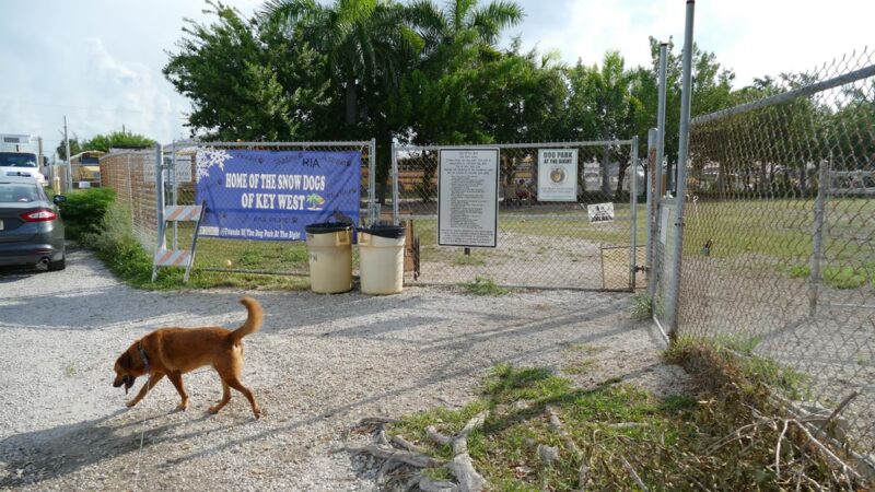 Dog Park - Key West, FL