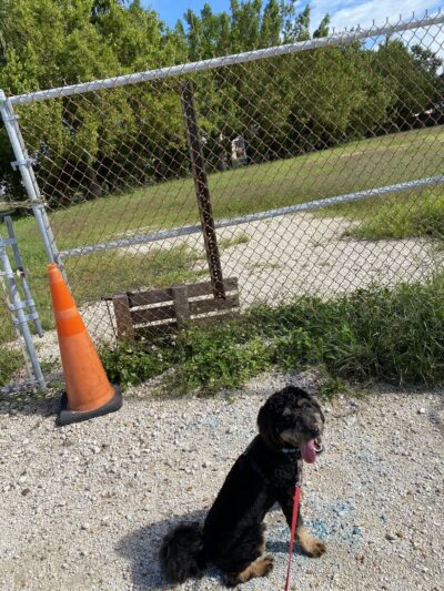 Dog Park - Key West, FL