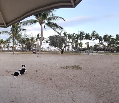 Dog Park - Key West, FL