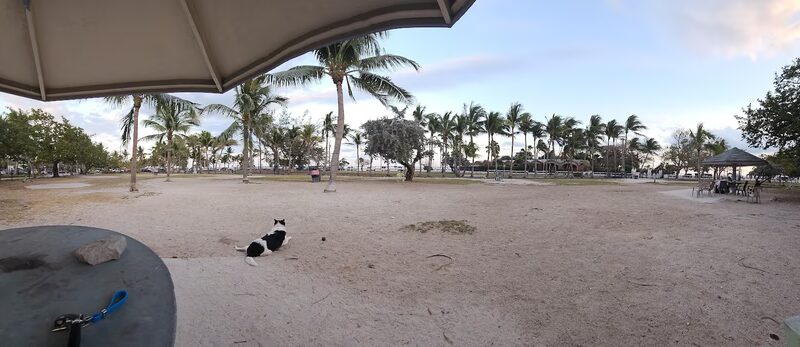 Dog Park - Key West, FL