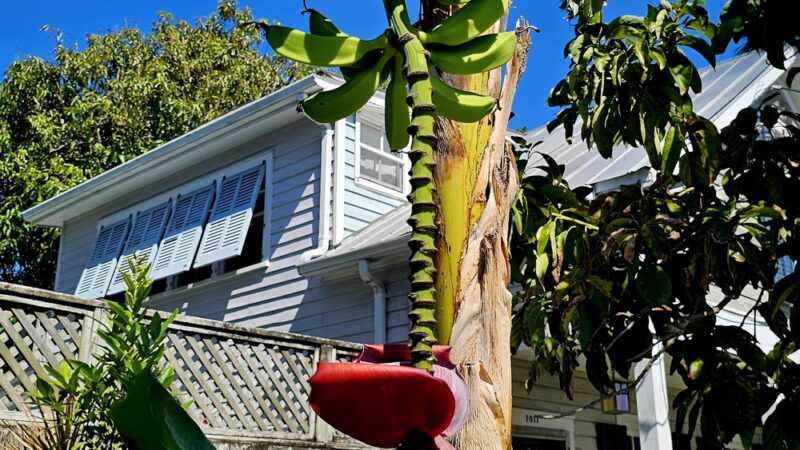 Grinnell Street Pocket Park - Key West, FL