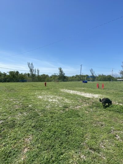 NAS Key West Dog Park - Key West, FL