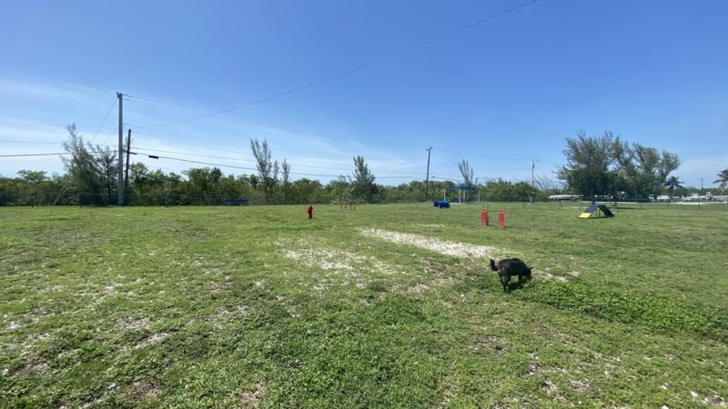 NAS Key West Dog Park - Key West, FL