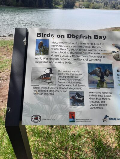 Keyport Saltwater Park - Keyport, WA